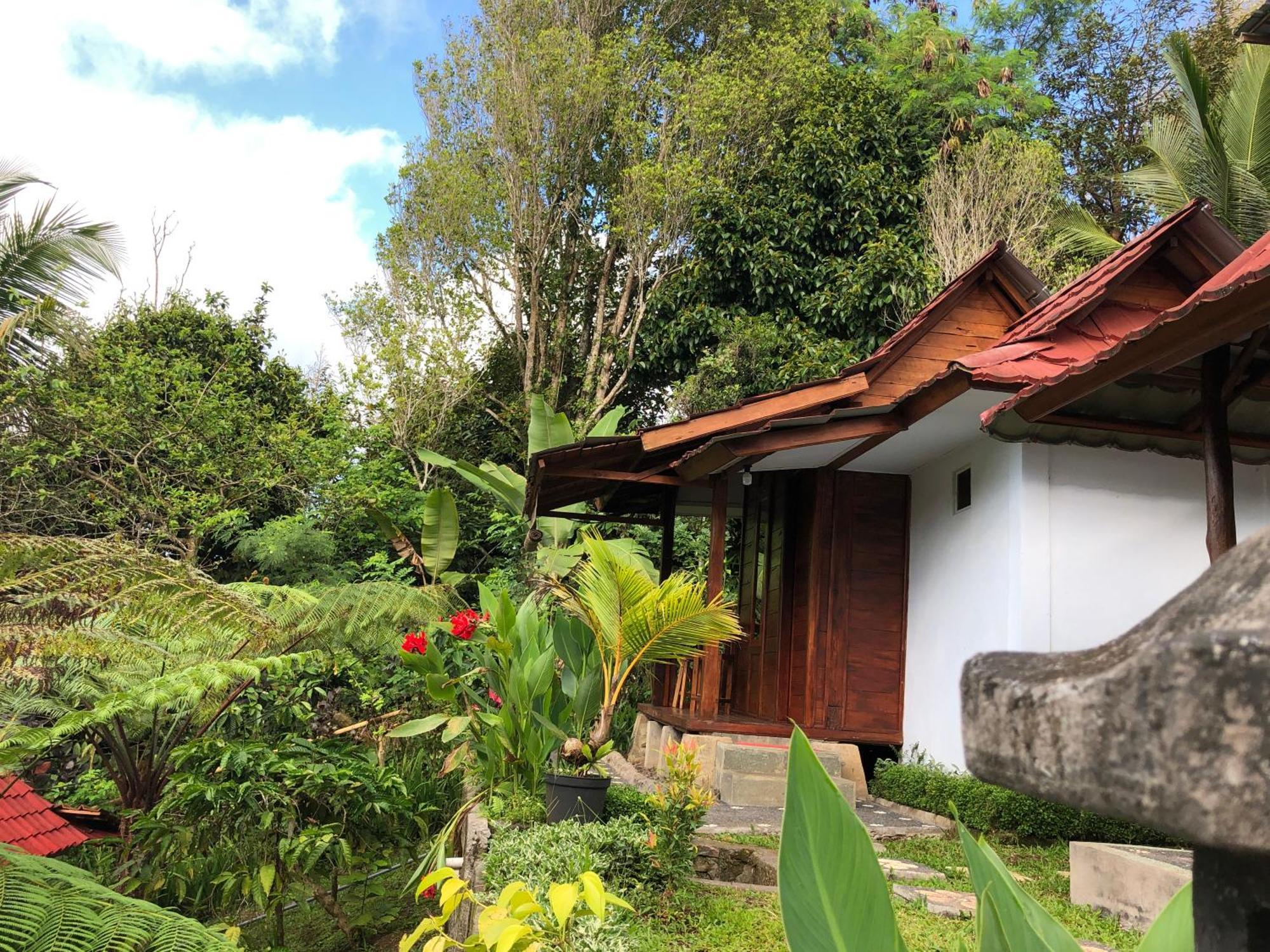 Sedana Yoga Resort Jembrana Exterior foto